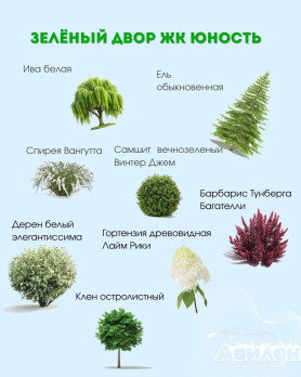 Зелёный двор ЖК Юность